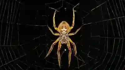 파이썬 셀레니움으로 웹 크롤링하는 꿀팁 알아보자