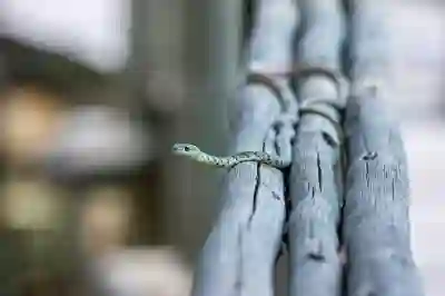 발로란트 조준선 사이트 활용법 알아보자