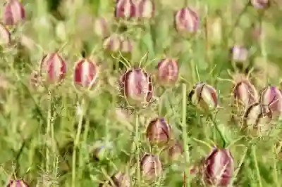 엑셀에서 검은색 라인과 배경색 출력하지 않는 방법 알아보자