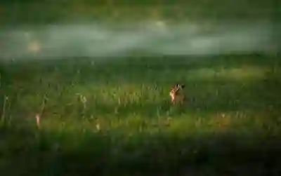 엑셀에서 소수점을 분수로 변환하는 방법 알아보자