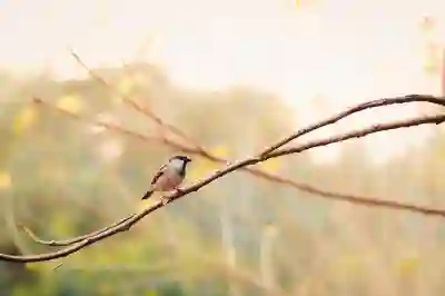 엑셀 인쇄 시 오류 값을 제외하는 꿀팁