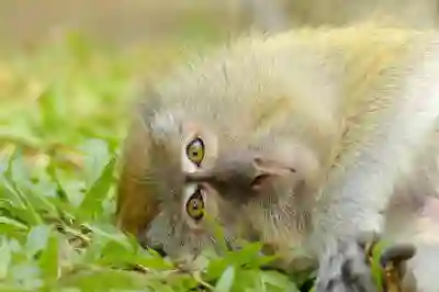 파이썬 논리 연산자 사용법 알아보자