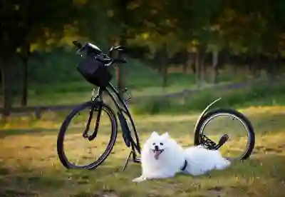 무료운세 사이트 추천과 활용 방법 살펴보기