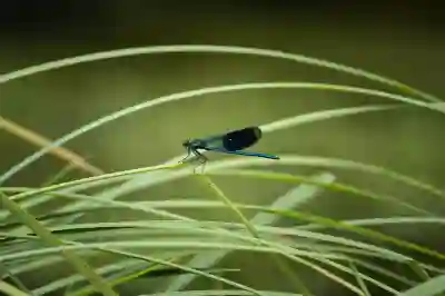 확장을 피해야 하는 시기 알아보기