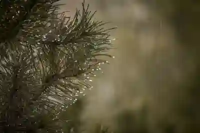 공매도 전면금지와 한시적 금지의 차이점 알아보자