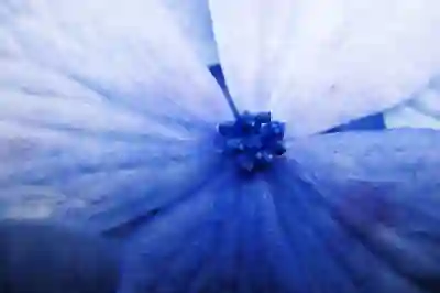 시트라 다운로드와 설치 방법 알아보자