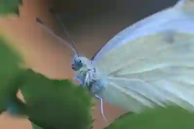 신영증권 이플랜업 HTS 다운로드 방법 알아보자