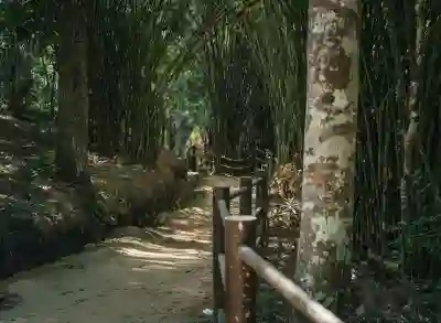 광고 없는 한글 뷰어 추천과 다운로드 방법 알아보자