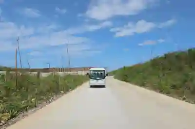 에버랜드 왕복 셔틀버스 이용 방법과 꿀팁 알아보자