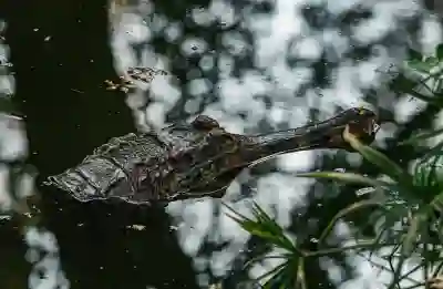 이력서 양식 무료 다운로드와 작성법 알아보자