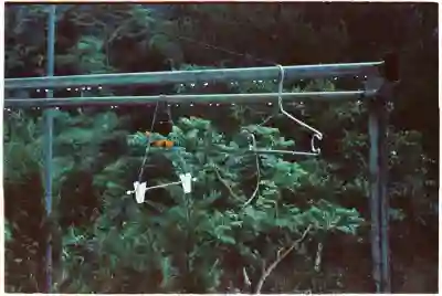 장마철 빨래 냄새 제거하는 꿀팁 알아보자