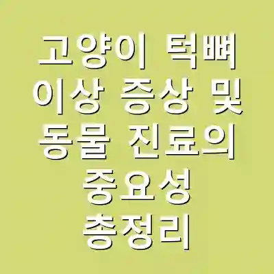 고양이 턱뼈 이상 증상 및 동물 진료의 중요성 총정리