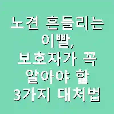 노견 흔들리는 이빨, 보호자가 꼭 알아야 할 3가지 대처법