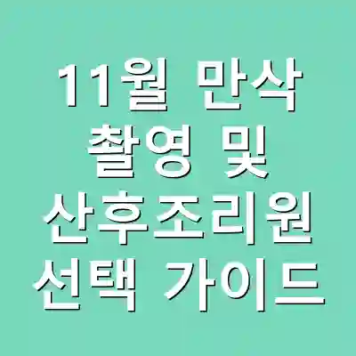 11월 만삭 촬영 및 산후조리원 선택 가이드