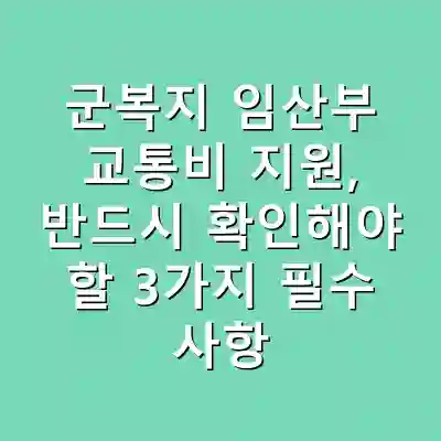 군복지 임산부 교통비 지원, 반드시 확인해야 할 3가지 필수 사항